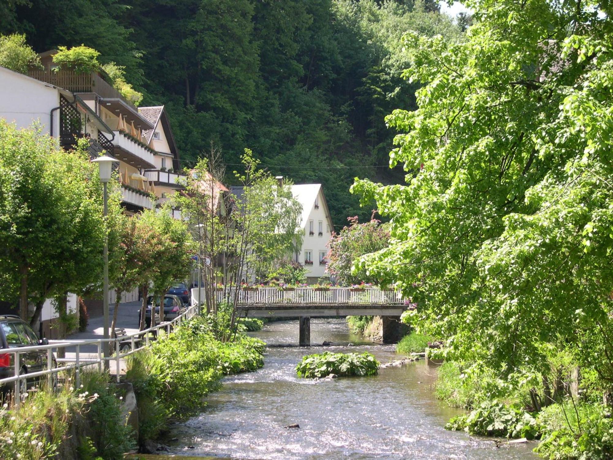 Hotel Heissinger Bad Berneck im Fichtelgebirge Exterior foto